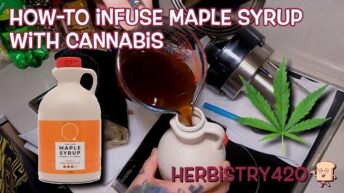 cannabis infused maple syrup recipe