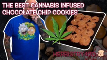cannabis infused chocolate chip cookies