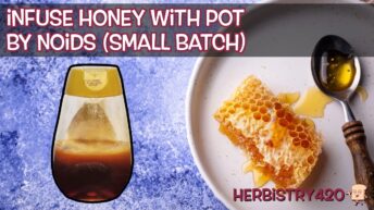how to infuse honey with cannabis