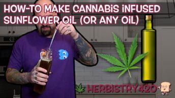 cannabis infused sunflower oil recipe