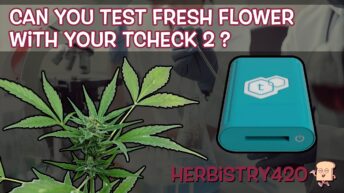 TCheck 2 fresh flower potency test