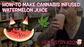 cannabis infused watermelon juice recipe