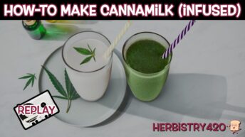 cannabis infused milk recipe