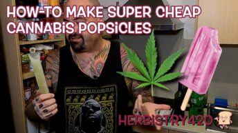 easy cannabis popsicles recipe