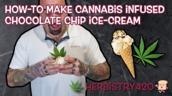 cannabis infused chocolate chip ice cream