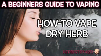 Gpen Dash+ Vaporizer Review