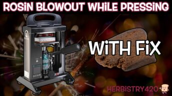 Rosin Blowout While Pressing