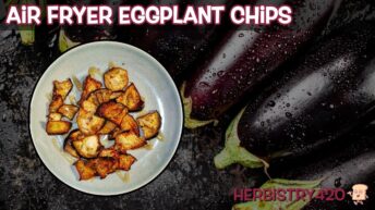 air fryer eggplant chips