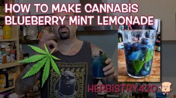 cannabis blueberry mint lemonade recipe