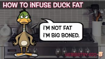 cannabis infused duck fat recipe