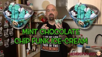 infused mint chip ice cream