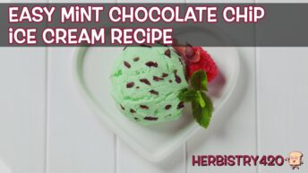 cannabis infused mint chocolate chip ice cream