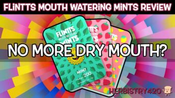 flintts mouth watering mints