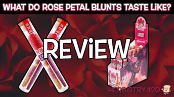 rose petal blunts