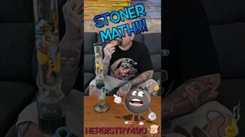stoner math animated