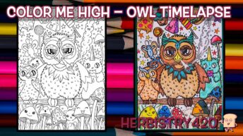 cannabis coloring relaxation owl