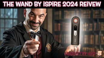 The Wand Review iSpire induction heater