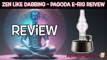 Pagoda E-Rig Review