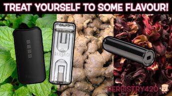 DaVinci IQC flavor chamber tips