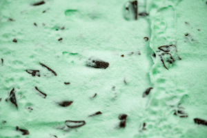 infused mint chip ice cream