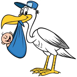 babies come from where joke