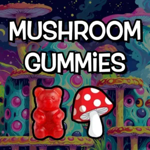 Mushroom Gummies