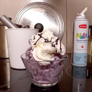 blueberry ice cream recipe