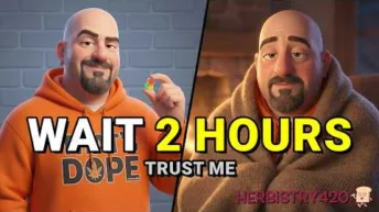 how long do edibles take to kick in