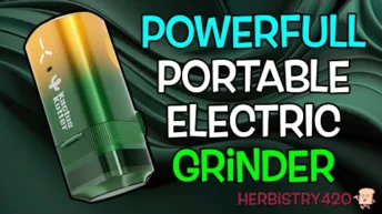 Kactus Kutter K2 Pro review