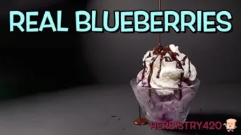 blueberry ice cream recipe