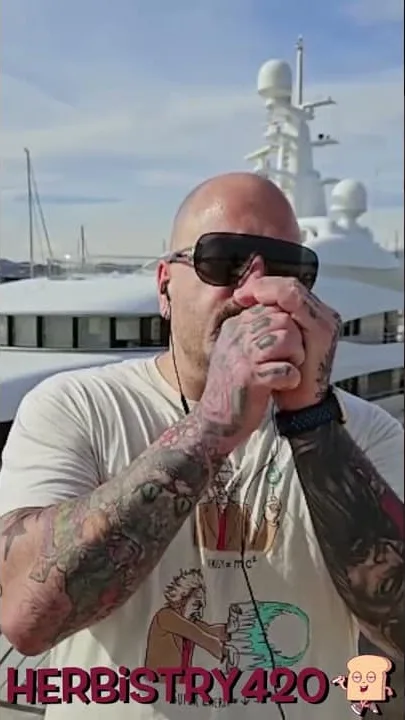 stoners are forgetful